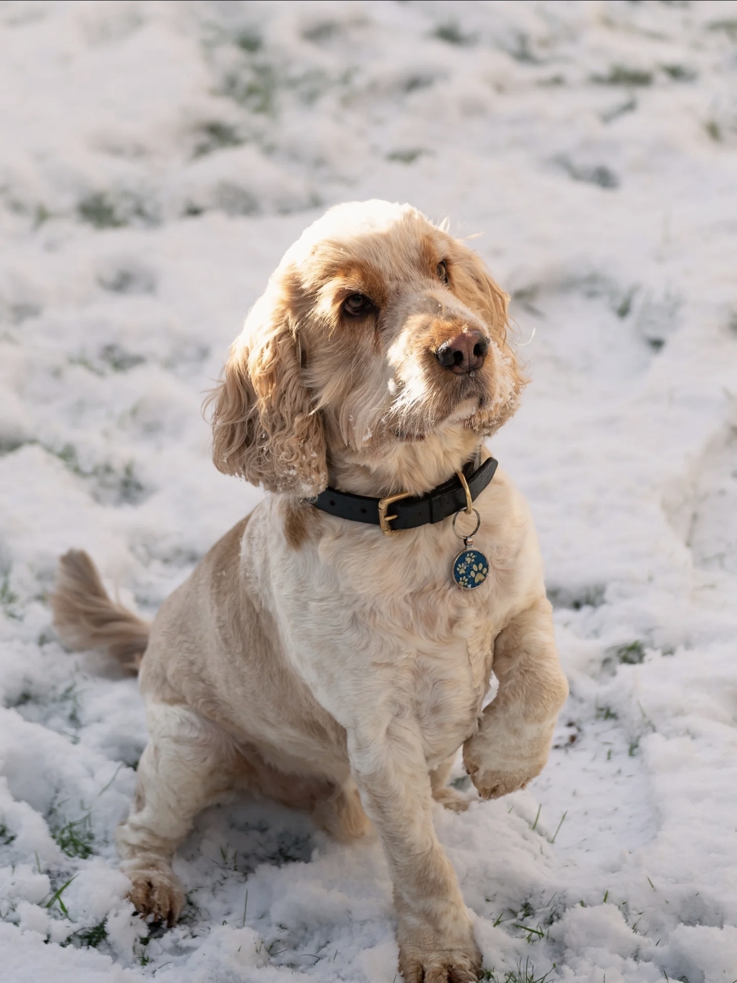 First Snow