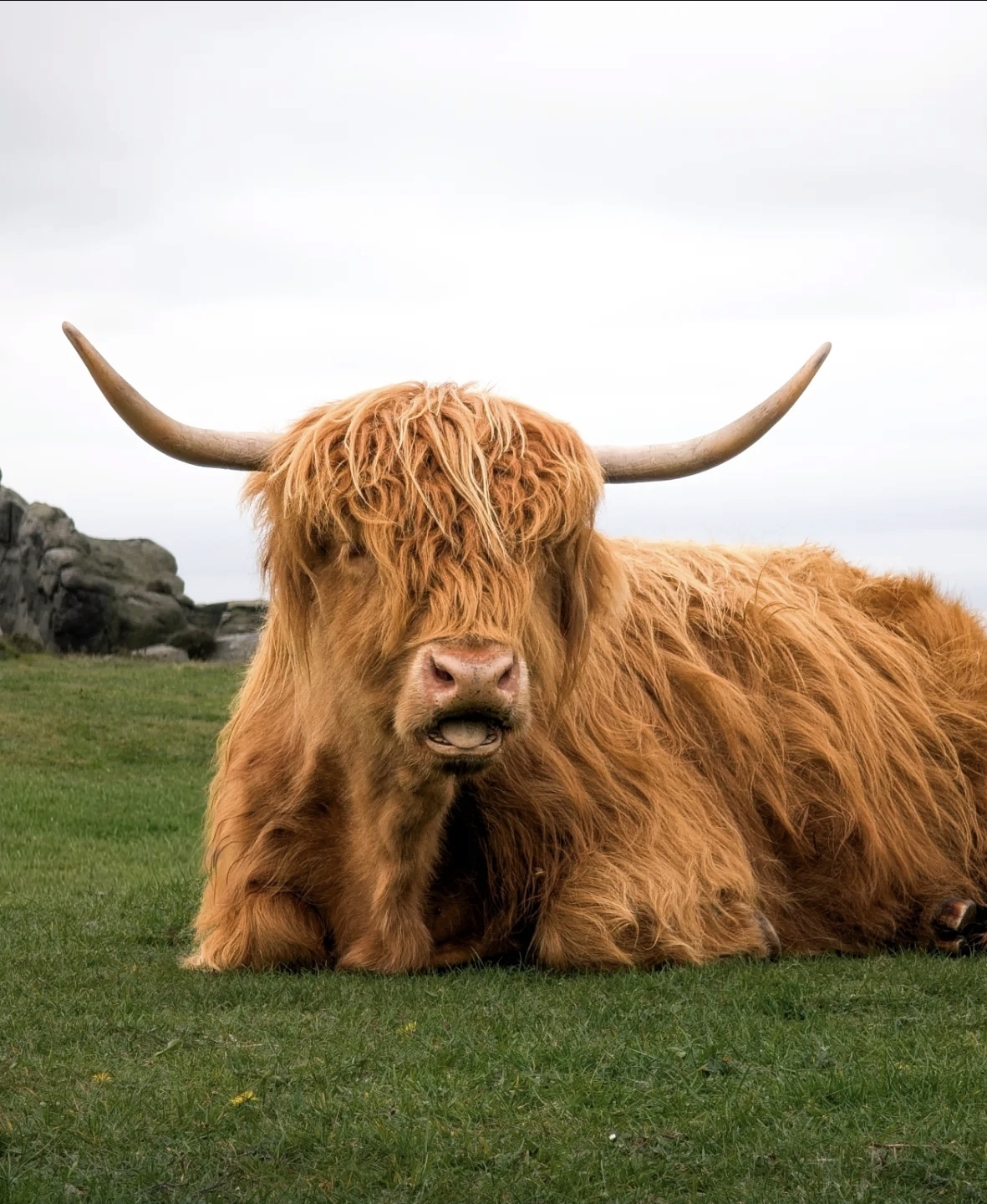 Highland Rest